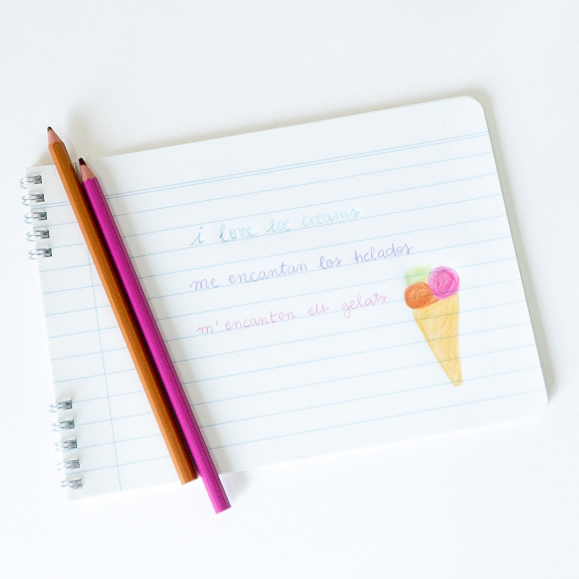 THE KIDS RULED NOTEBOOK